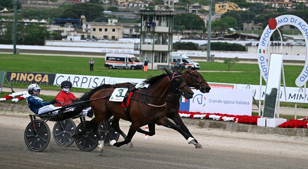 Ippodromo Agnano da record per il Gp Lotteria e l’omaggio a Enzo Giordano e Varenne