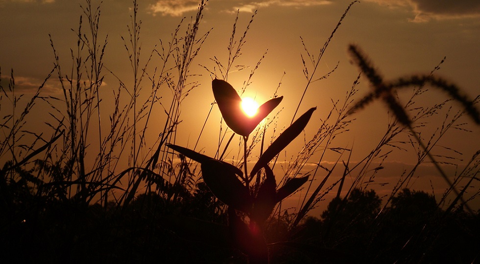 Casinò Campione verso il futuro, i dati a supporto delle scelte strategiche