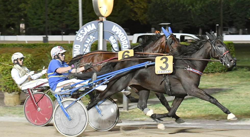 Ippodromo Snai Sesana: Gaudì Trio fa suo il Premio clou Avis Regionale Toscana
