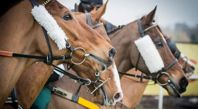 Brigid Simmonds, Bgc: ‘Sport e betting fondamentali per la beneficenza’