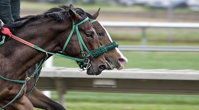 Corse ippiche d’estate, Horse angels: ‘Tutelare cavalli e cambiare date e orari’