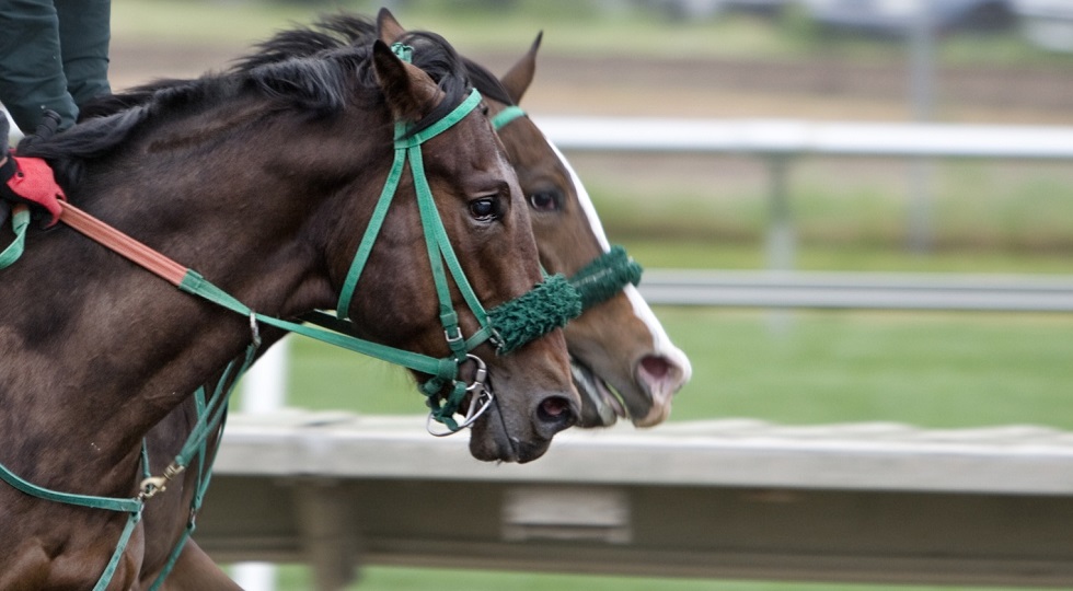 La giostra degli ippodromi: Roma e Palermo in stand by, Grosseto all’asta