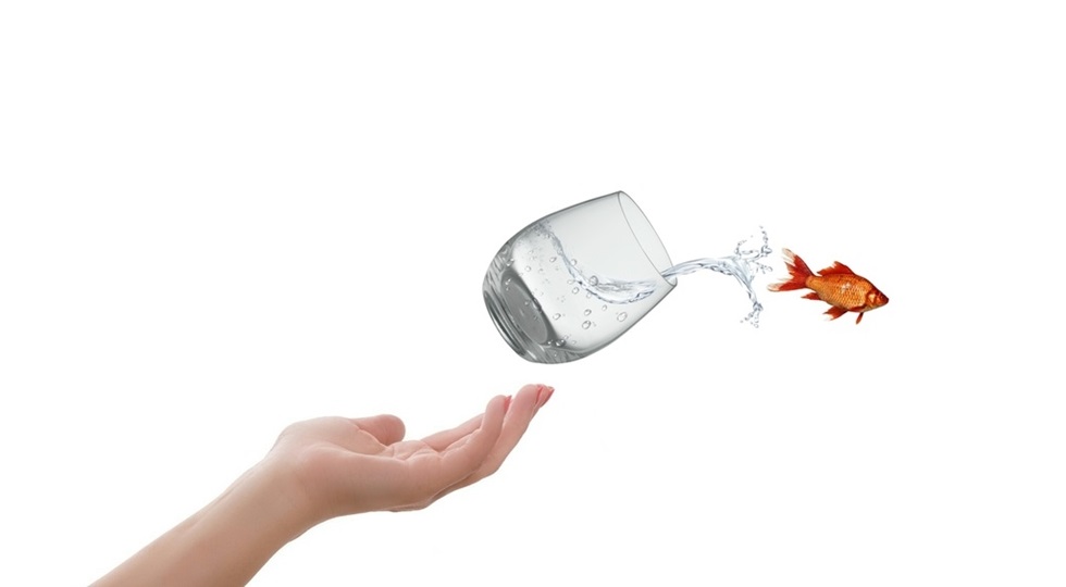 Il futuro del gioco e l’uscita dalla comfort zone