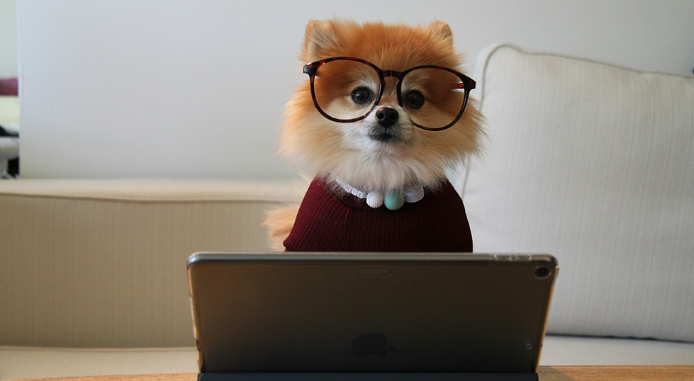 Rilancio casinò, la competenza fa la differenza