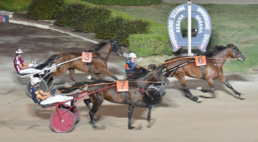 Ippodromo Snai Sesana: brilla Freeway Bi nel Premio Innocenti evasioni