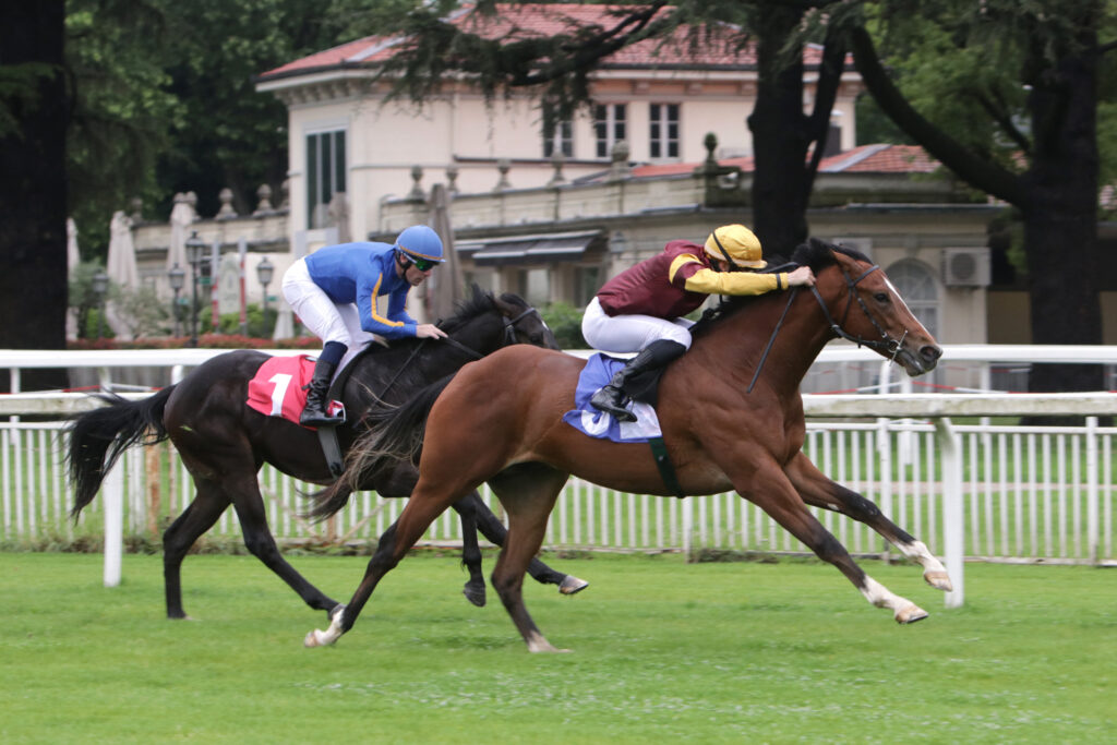 Ippodromo Snai San Siro, Gaeli e Folgaria protagonisti della giornata di corse