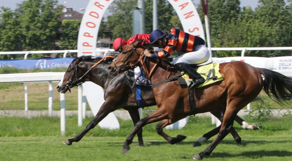 Ippodromo Snai San Siro, Borna davanti a tutti nel Premio Ambrosiano