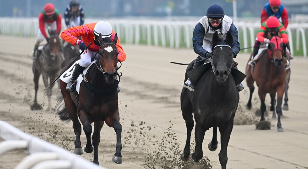 Ippodromo Snai San Siro, Lethal Nigio e Ersilia confermano la loro ‘prepotenza’