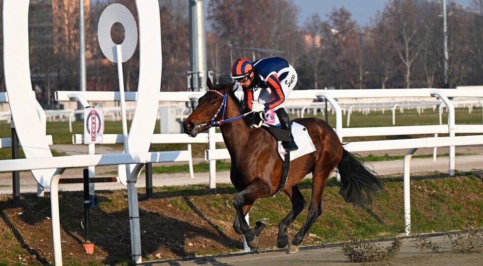 La firma di Girl Supreme sul galoppo del mercoledì all’Ippodromo Snai San Siro