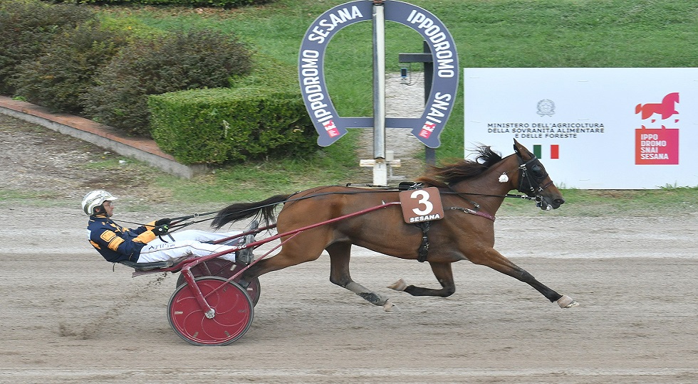 Ippodromo Snai Sesana, Wild Sky sorprende nel lunedì di trotto