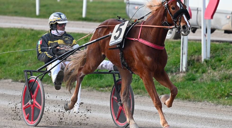 Ippodromo Snai San Siro: nell’ultima di trotto di gennaio Ghiaccio ‘frizza’ tutti
