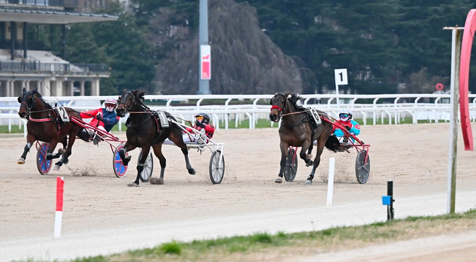 Ippodromo Snai Milano, brilla Gemma Degli Dei nel Premio Anselmo Fontanesi