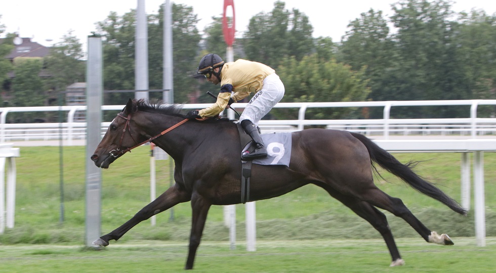 All’Ippodromo Snai San Siro Tendentious trionfa nel Premio Lombardia