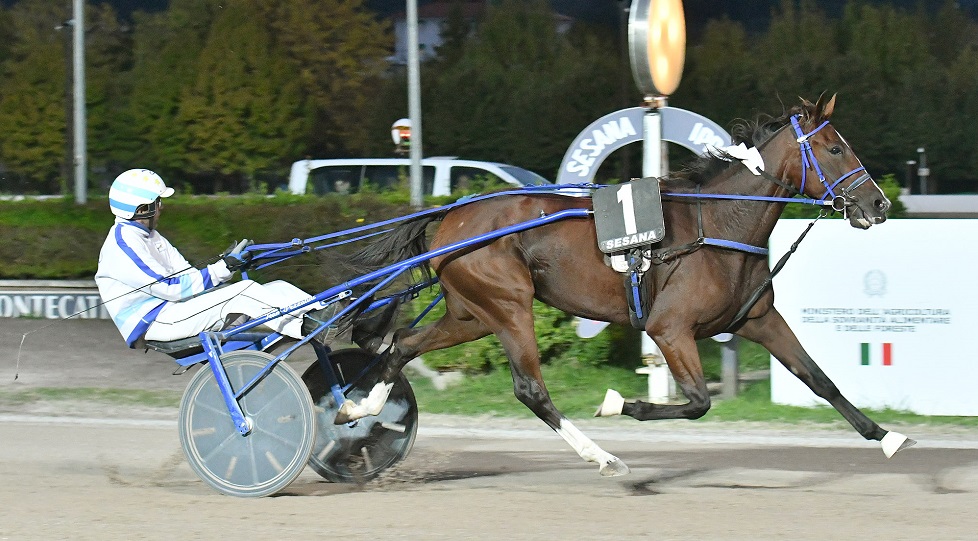Il weekend degli ippodromi Snai, Diomede e Iupiter Mail dominano a Milano e Montecatini