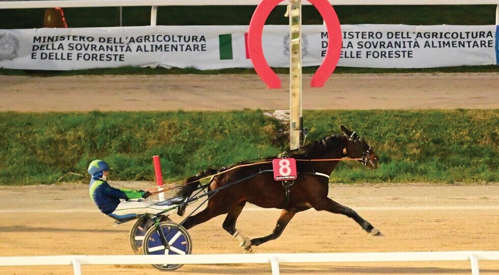 Ippodromo Snai San Siro: Indigo Roc vince il Brighenti, giovedì si celebra Finn