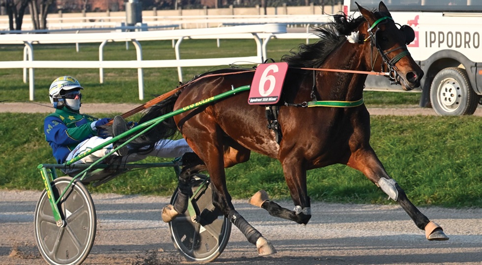 Ippodromo Snai San Siro: buona la prima (stagionale) per Galaxia Des Col