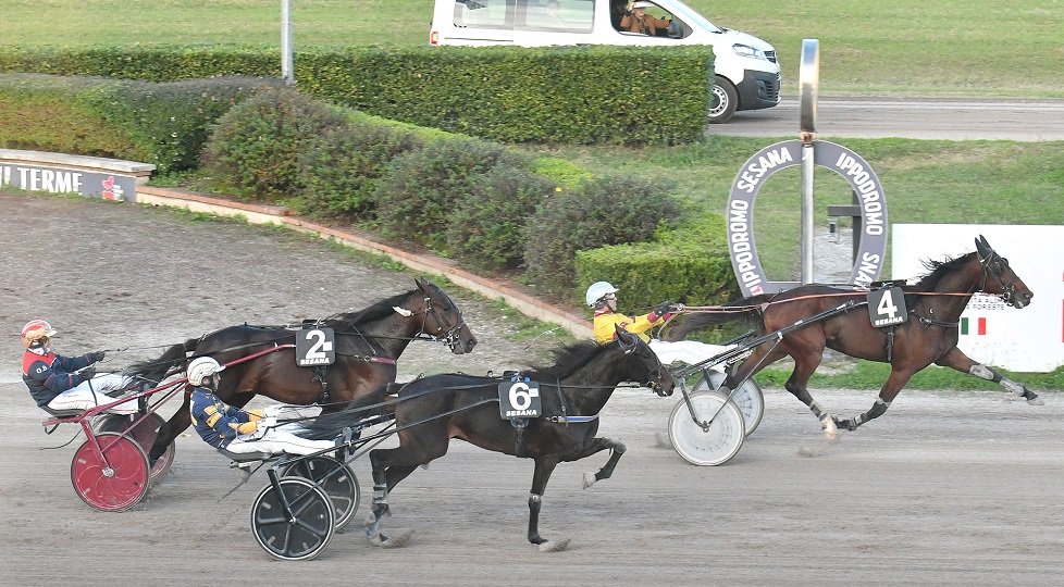 All’Ippodromo Snai Sesana chiusura di stagione con il successo di Imprevedibile Eos