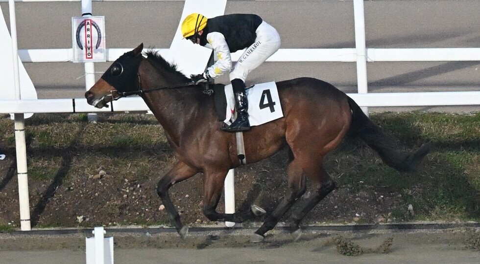 Galoppo all’ippodromo San Siro: prime vittorie per Native Beach e Niebo, e il 7 si torna in pista
