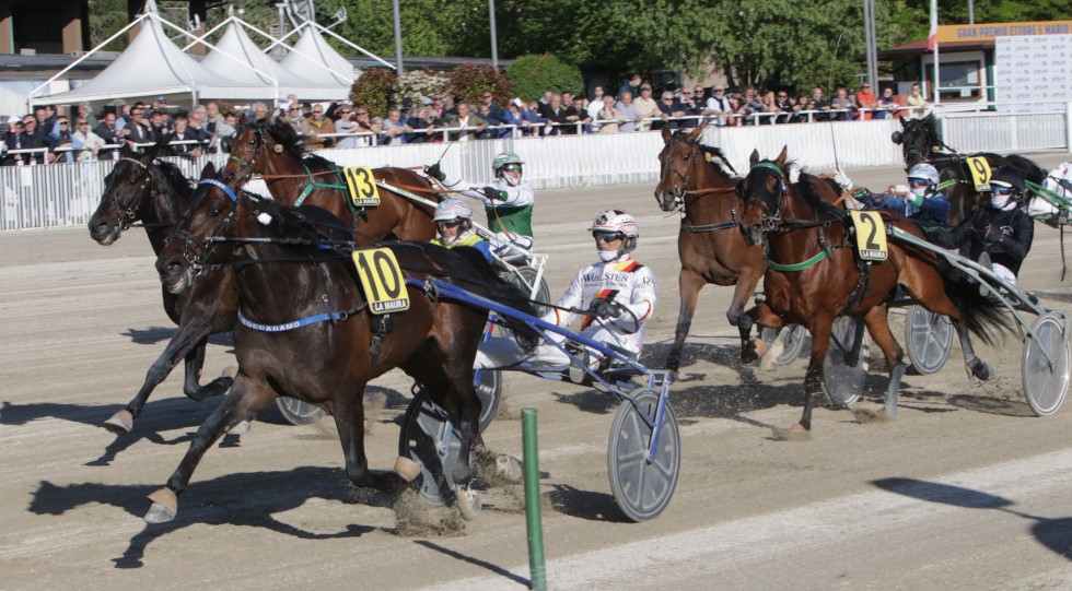 Ippodromo Snai La Maura, Premio Barbetta clou dell’ultima giornata prima della pausa
