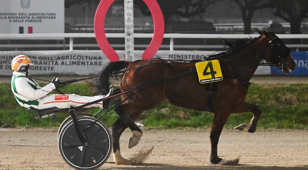 Ippodromo Snai San Siro: Gaga Lady infiamma il giovedì del trotto milanese