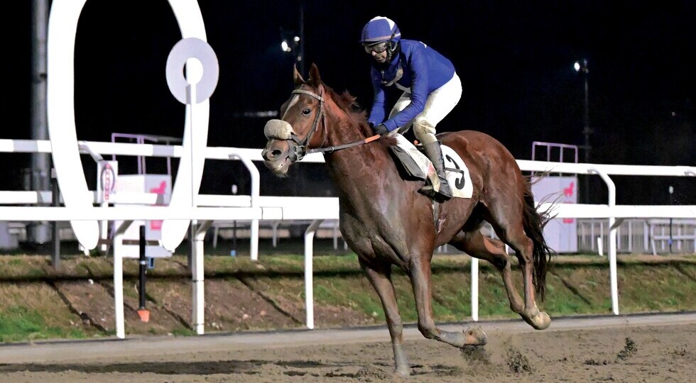 Gran chiusura all’Ippodromo Snai San Siro: Sopran Valchiria domina il Quinté