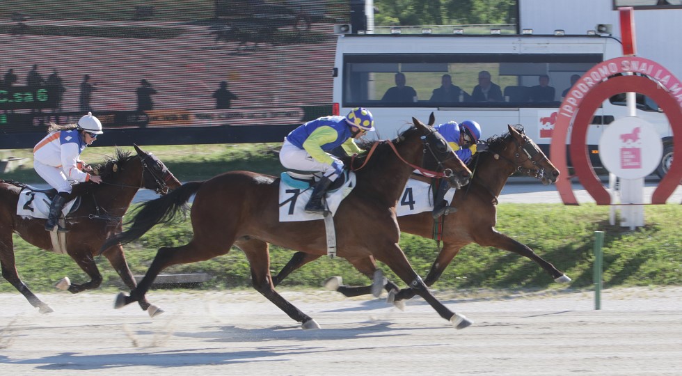 Ippodromo Snai La Maura, spicca Carisma Av nel trotto montato per il Premio Luccio Zucchetti