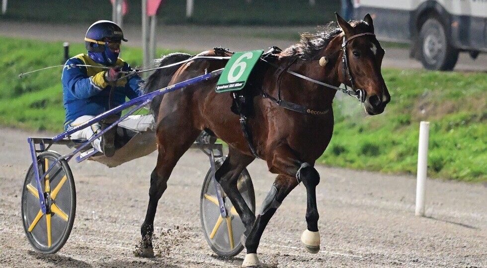 Gran finale all’Ippodromo di San Siro: il 2025 si chiude tra vittorie, record e nuove sfide