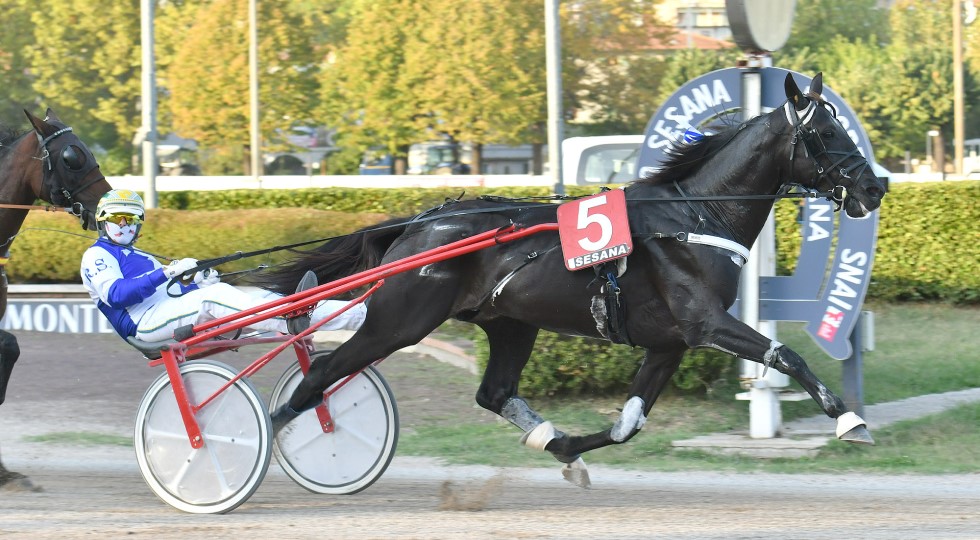 Ippodromi Snai, a San Siro brillano Igazgato (sabato) e Melfi (domenica), mentre Sesana plaude Fariba Cr