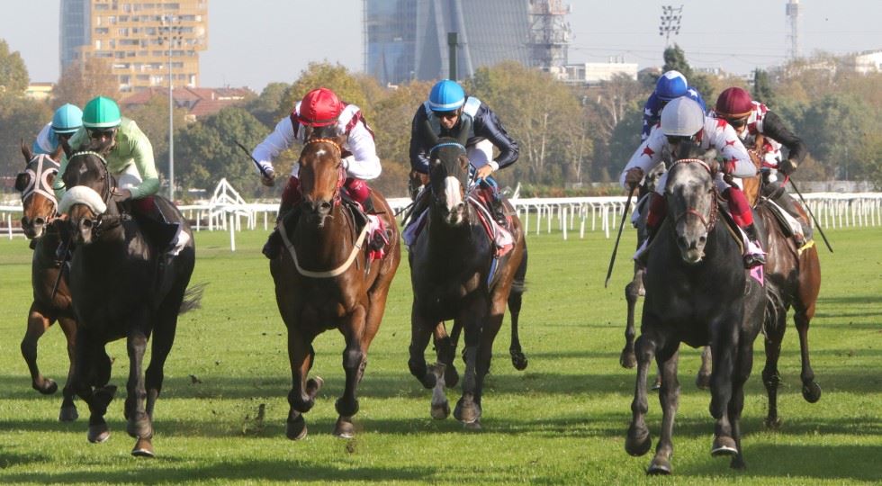 Ippodromo Snai La Maura: sette corse nella prima giornata di trotto del mese di aprile