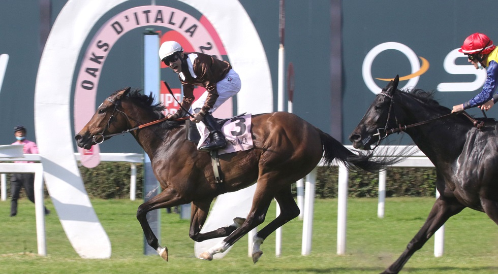Ippodromo Snai San Siro: Tattersalls sponsor delle Oaks d’Italia 2023
