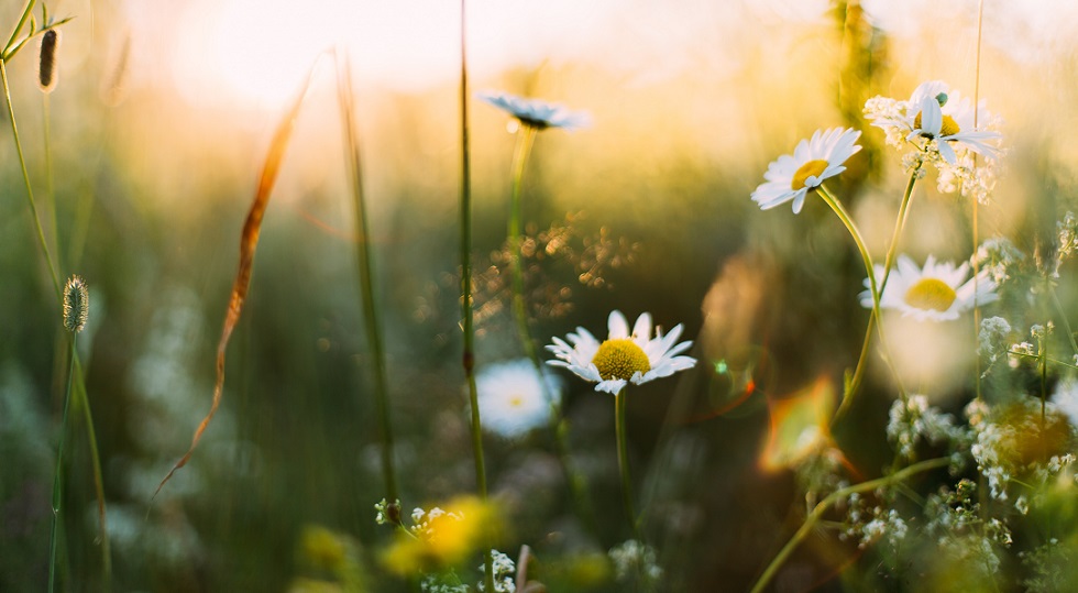 Andamento casinò, due mesi non fanno primavera ma fanno riflettere