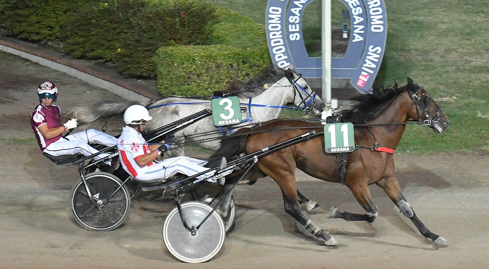 Ippodromo Snai Sesana: Dotto dell’Est si aggiudica il prestigioso premio Equality Srl