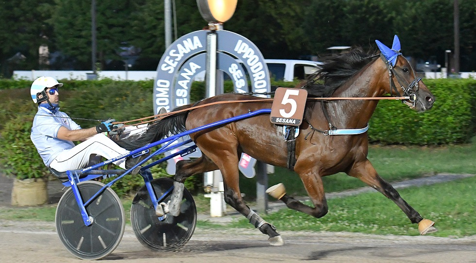 Ippodromo Snai Sesana: Gin Tonic Cap trionfa nel Premio Euroedil Snc per debuttanti