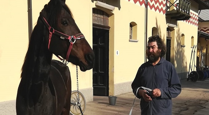 Faticoni (Siag): ‘Riportare persone negli ippodromi garantendo stanzialità dei cavalli’