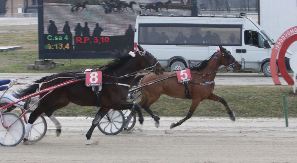 Ippodromo Snai La Maura: Esedomani in versione extralusso nel Premio Chris Evert Treb