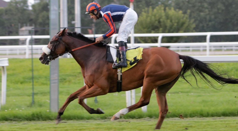Ippodromi Snai: a San Siro Atzeco vince la Coppa d’Oro, Sesana ricorda Meli