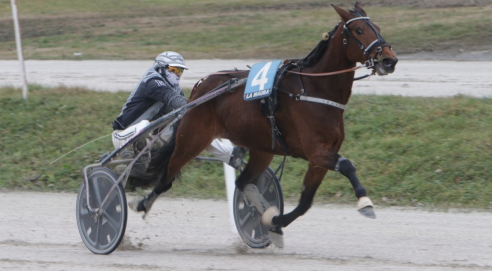 Ippodromo Snai La Maura, Eagle Prav fa suo il premio Red Chief