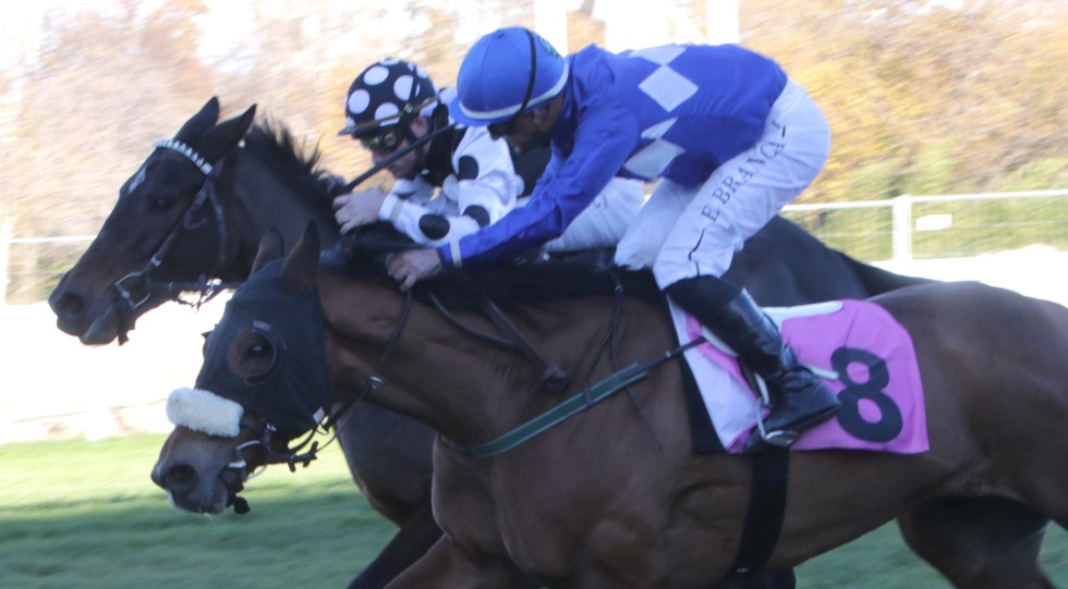 Ippodromo Snai San Siro, nell’ultima stagionale protagonista Terrible Land nel Premio Marcialis