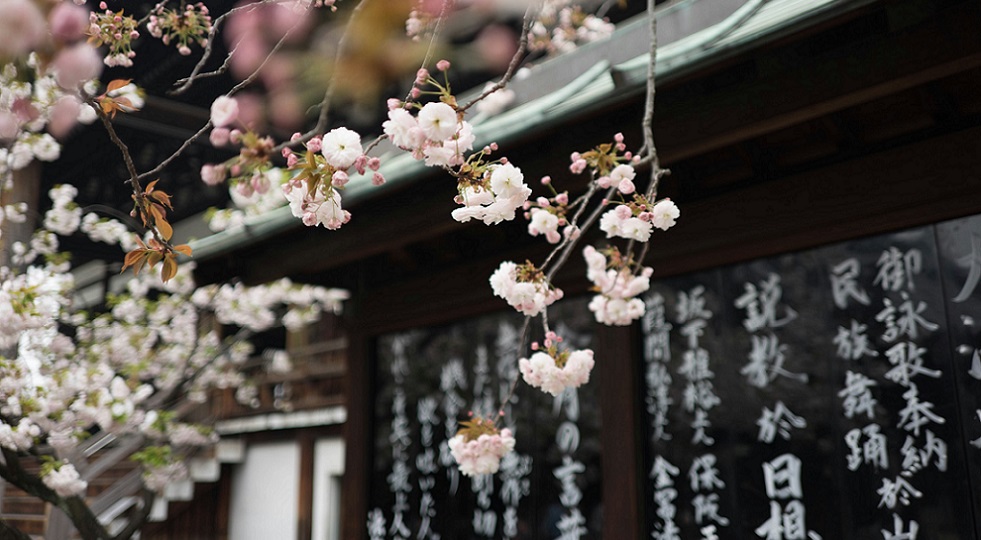 Giappone, Mgm Osaka rinuncia alla clausola di recesso