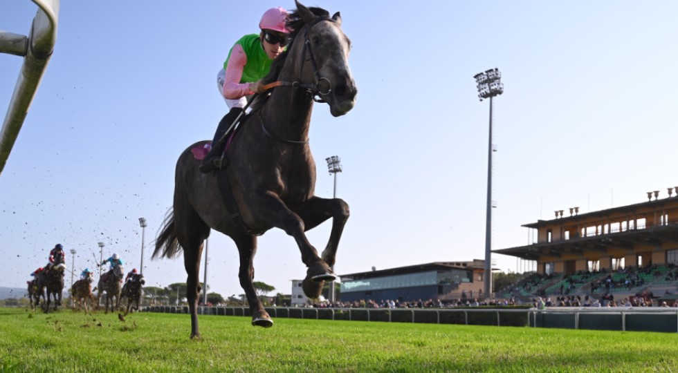 Ippica, Pautasso (Hippogroup) su Capannelle: ‘Pronti a garantire 130 giornate’