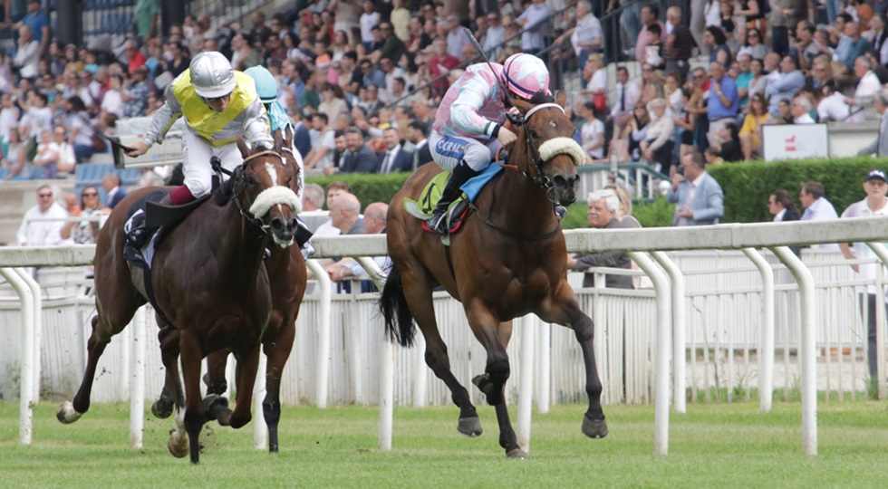 Ippodromo Snai San Siro, galoppo top con le Oaks d’Italia Tattersalls