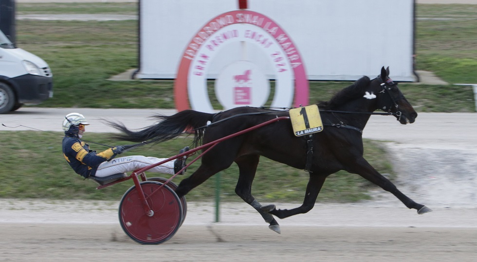 Ippodromo Snai La Maura: Capital Mail trionfa nel Gran premio Encat