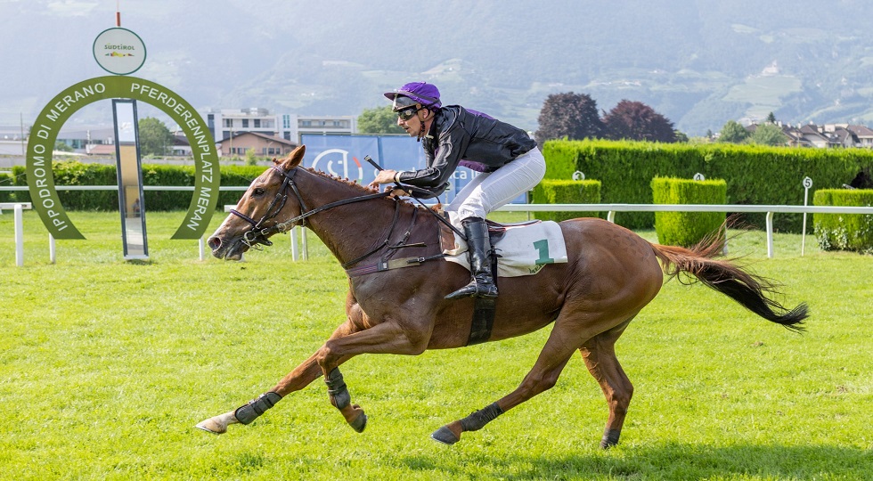 Satalia (Merano Galoppo): ‘Grande Steeple-Chase di Roma bistrattato’
