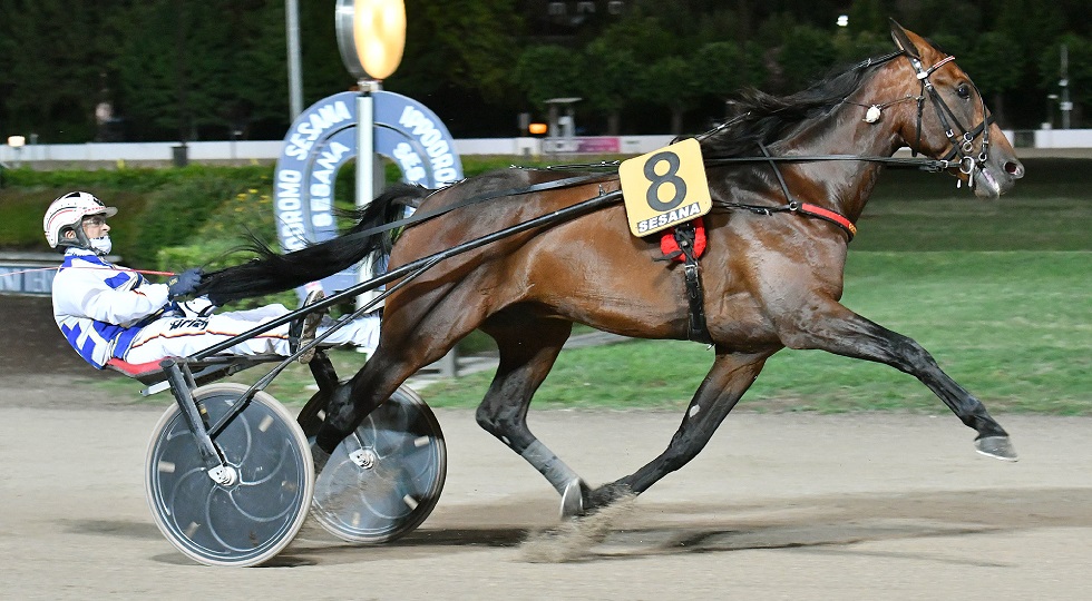 Ippodromo Snai Sesana: Dolce Viky brilla nel premio Indovina Tondi