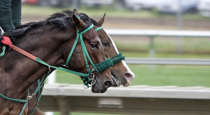 Serie A: da ‘corto muso’ ai ‘paraocchi’, anche l’ippica nella la lotta scudetto tra Inter e Juve