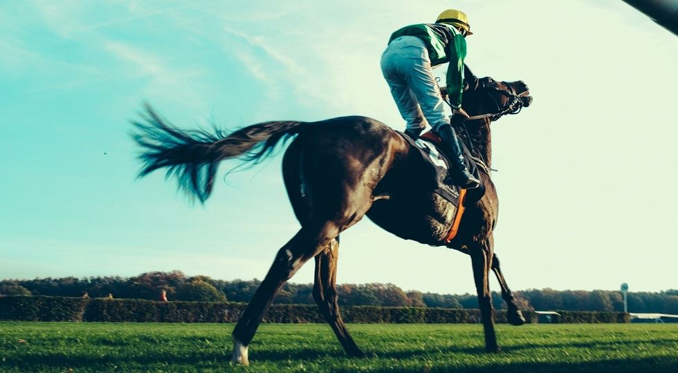 Agenzia delle entrate: nuovi codici tributo in arrivo nel mondo dell’ippica