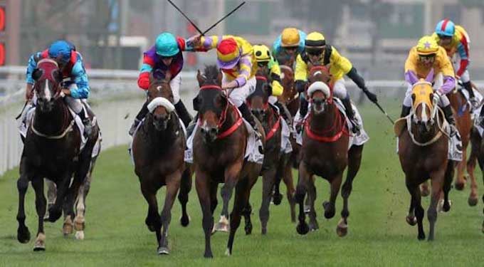 Ippodromo Snai La Maura, sabato spicca il Premio Cumin