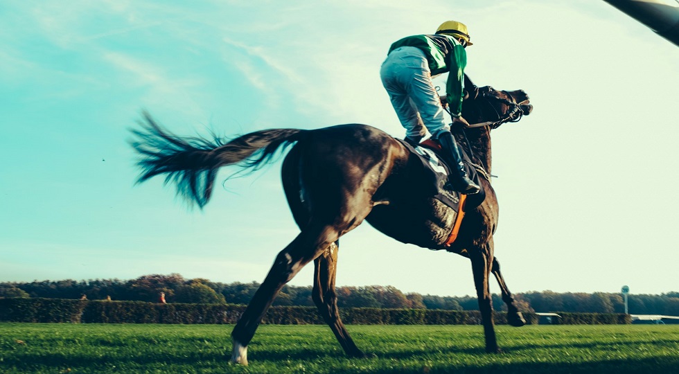 Scommesse ippiche, Masaf: ‘A settembre raccolta a +13,41 percento’