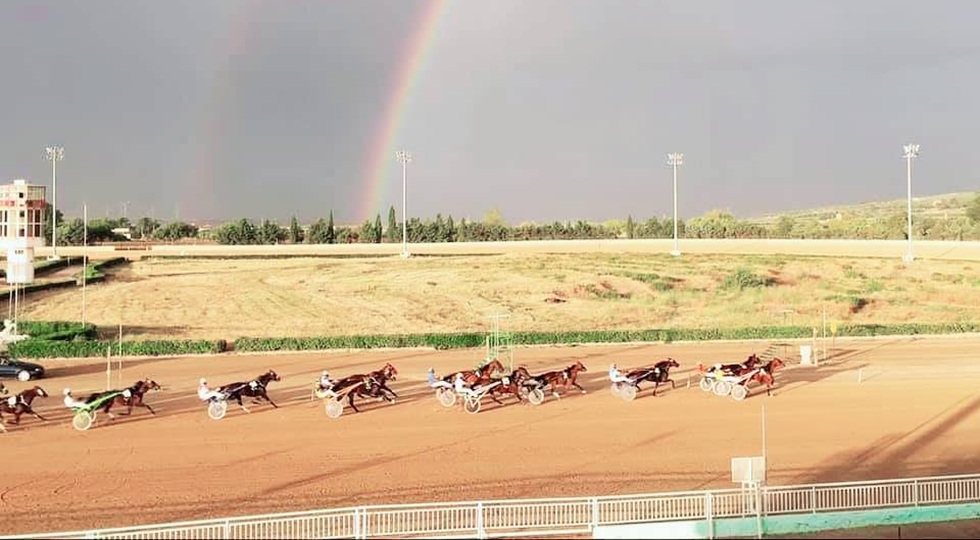 Gestione ippodromo Castelluccio dei Sauri: Capitanata Corse vince il bando del Comune