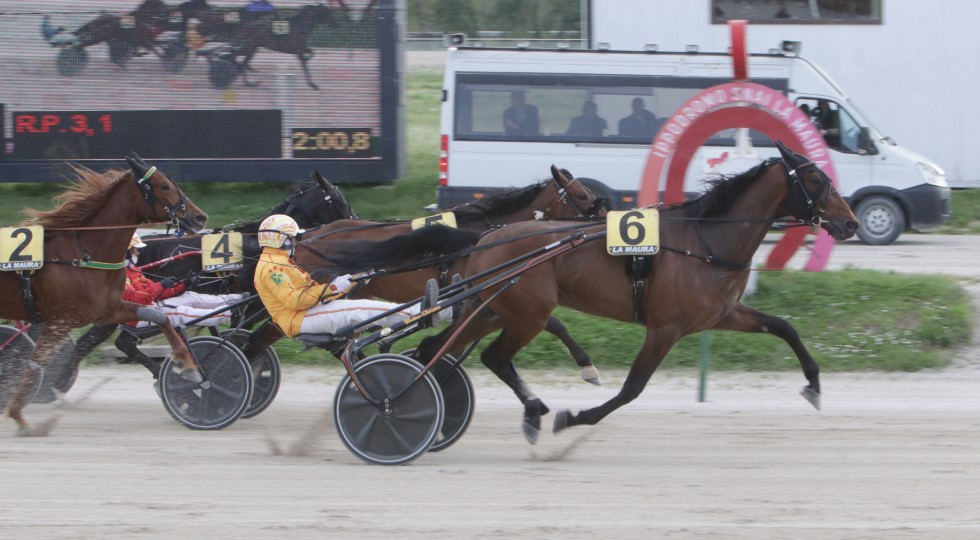 Ippodromo Snai La Maura, a Demetrio il Premio in memoria della scuderia Leonardo